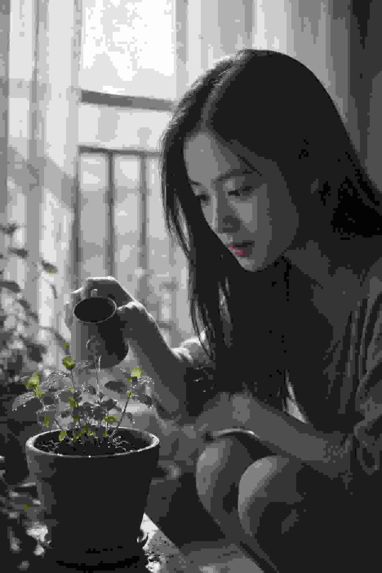 沉默的证人